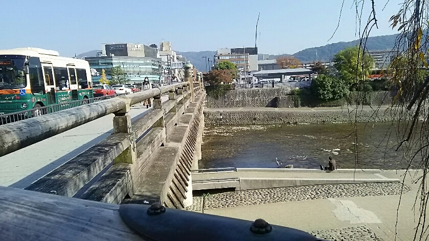 d0052263_07022007.jpg