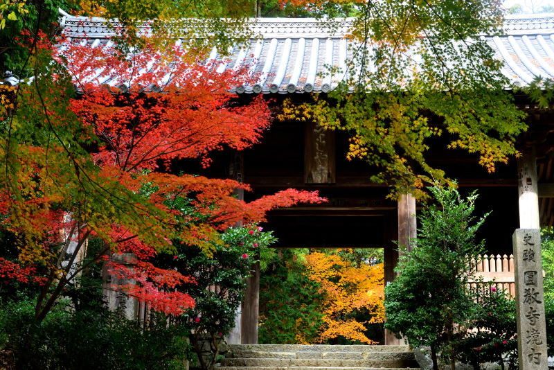 2018紅葉撮影＠書写山・圓教寺(前編）_a0341170_13590397.jpg