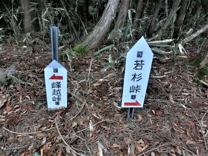 No496晩秋の岡山若杉原生林から峰越峠へ_b0185573_17404277.jpg