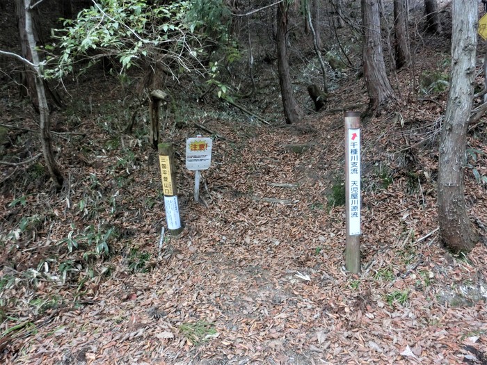 No496晩秋の岡山若杉原生林から峰越峠へ_b0185573_180117.jpg