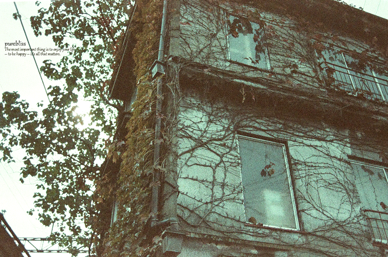 b0243873_13214531.gif