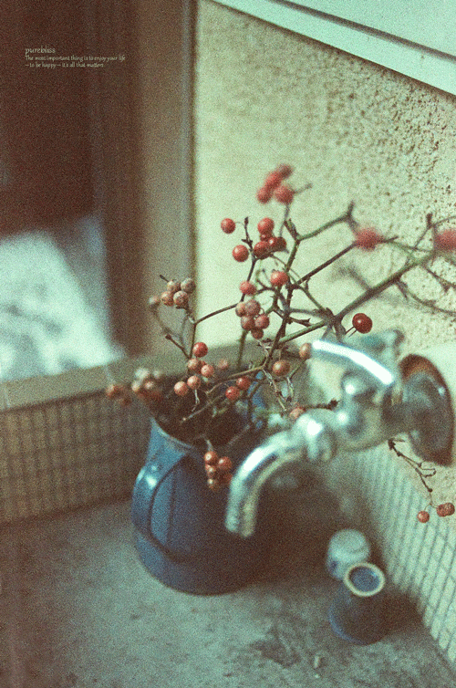 b0243873_13214981.gif
