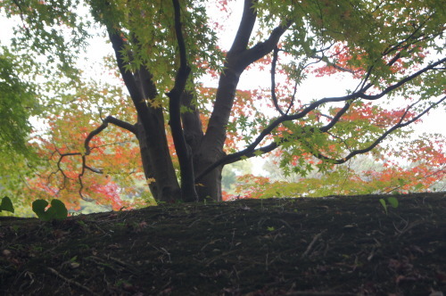 e0181373_19475198.jpg
