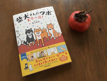 テツのお皿_b0011075_18124440.jpg