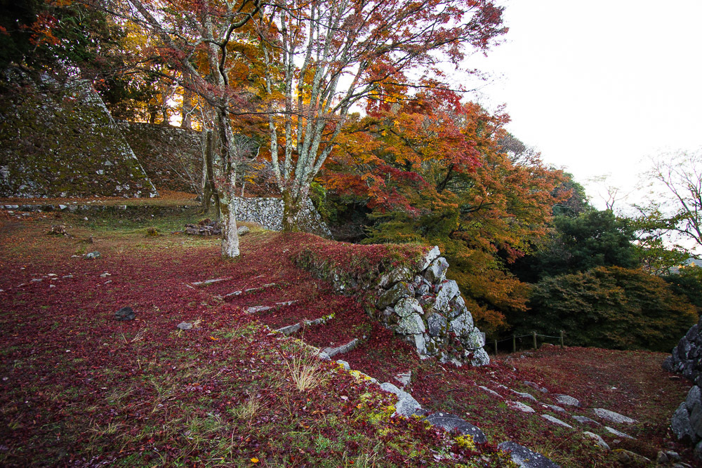 a0301676_18511310.jpg