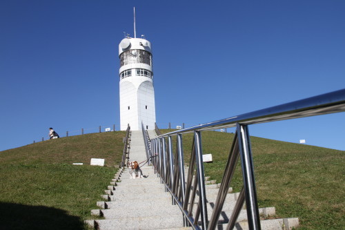 e0114977_18392669.jpg