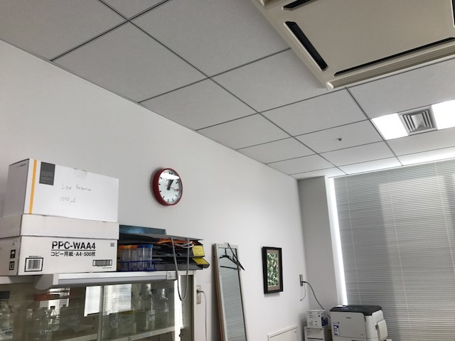 e0242080_10215735.jpg