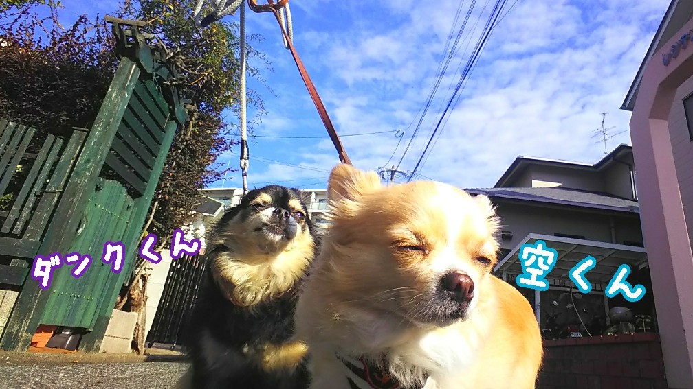 2co1💕_f0357682_12462715.jpg