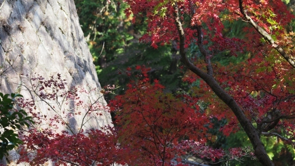 永保寺_a0356791_22490758.jpg