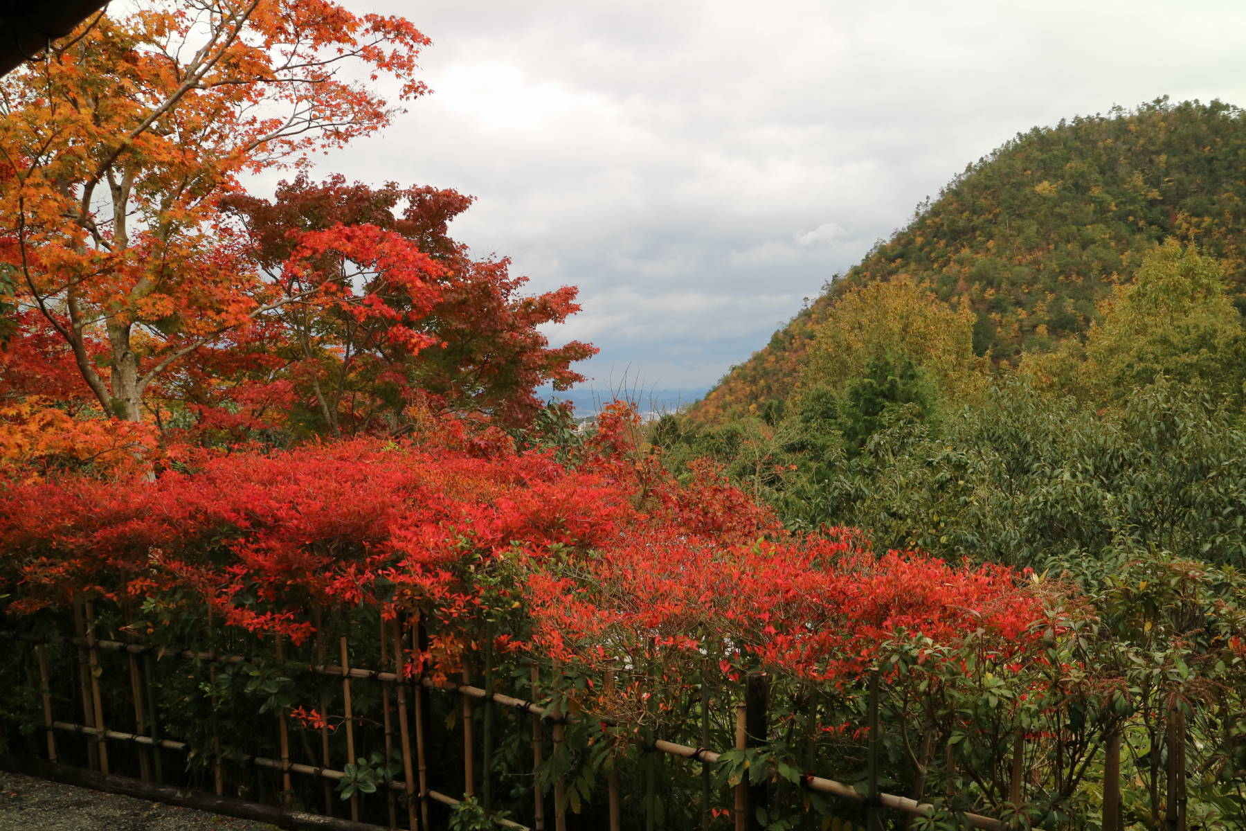 f0075595_20090399.jpg