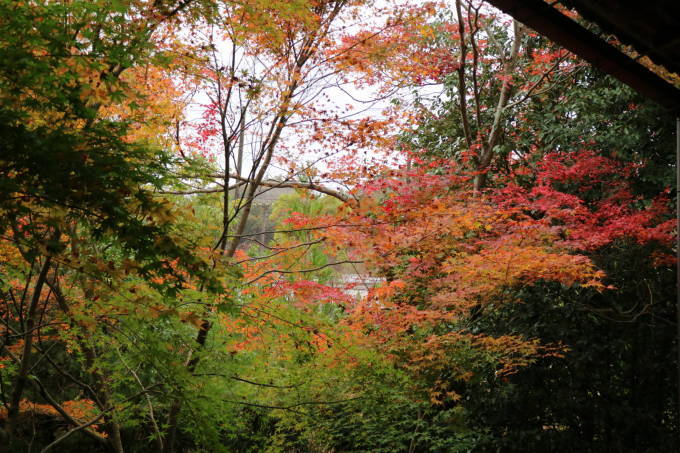 f0075595_20122762.jpg