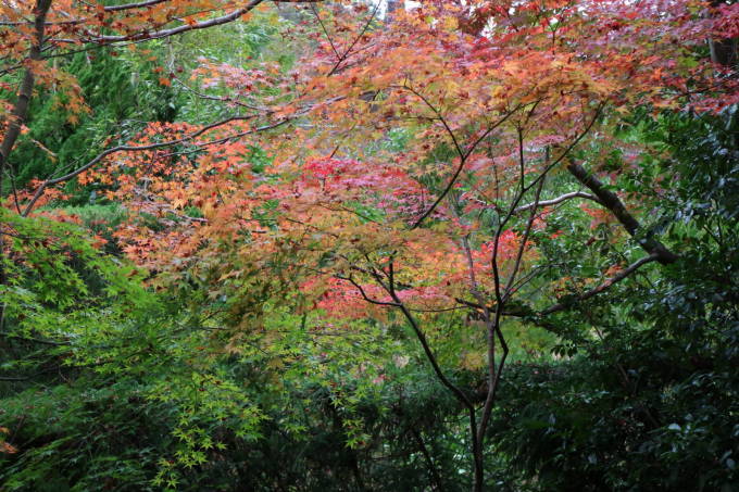f0075595_20123829.jpg