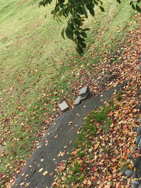 兼六園 紅葉と雪吊りのライトアップ プチホテルアイビー Blog De News