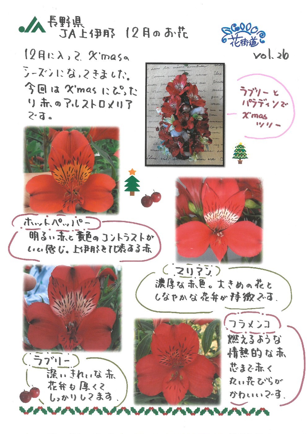 ✨&#127876;✨真っ赤なお花の～&#127925;✨&#127876;✨_d0062298_07305830.jpg