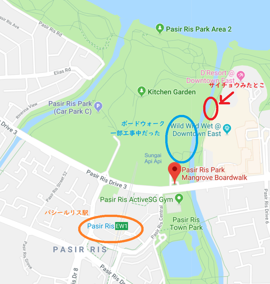 Pasir Ris Park（その２）サイチョウ はっけん！_c0212604_5541236.png