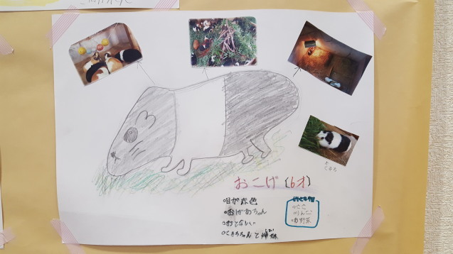 サポーターイベント「モルモットをモット感じよう！ポスター作り」_c0290504_17260323.jpg
