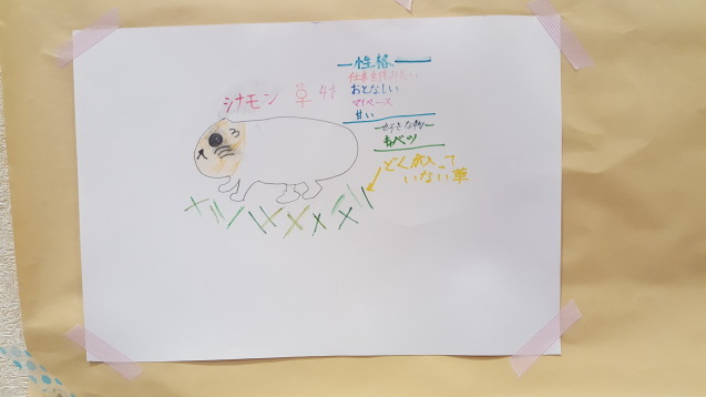 サポーターイベント「モルモットをモット感じよう！ポスター作り」_c0290504_17261577.jpg