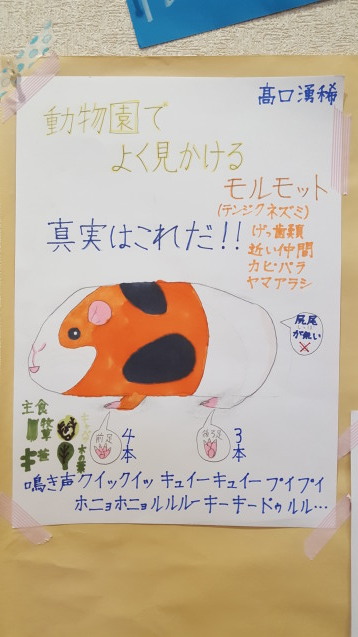 サポーターイベント「モルモットをモット感じよう！ポスター作り」_c0290504_17262006.jpg