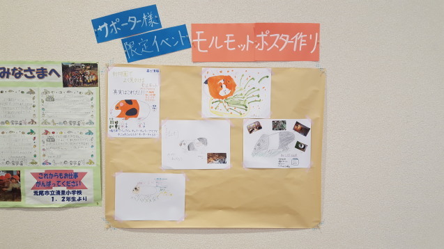 サポーターイベント「モルモットをモット感じよう！ポスター作り」_c0290504_17263489.jpg