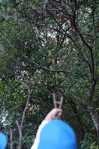 c0058507_20142634.jpg