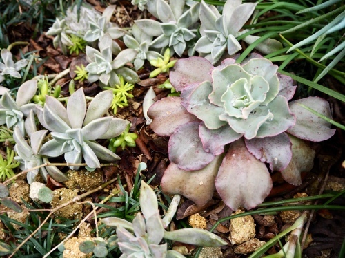 d0179410_21394298.jpeg