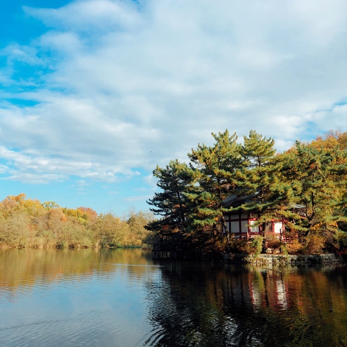 石神井公園〜善福寺公園・渋谷青の洞窟_d0138811_23245086.jpeg