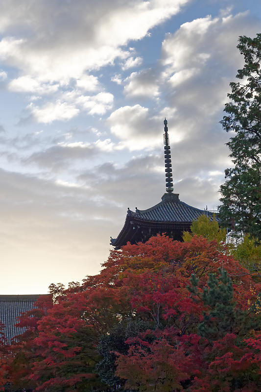 2018京都の紅葉・黒谷　真如堂_f0032011_20344147.jpg