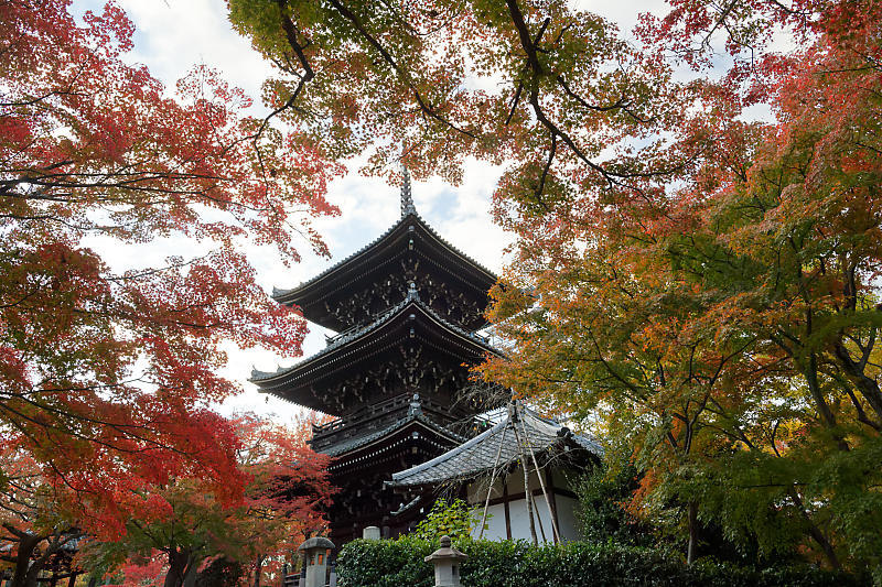 2018京都の紅葉・黒谷　真如堂_f0032011_20344188.jpg