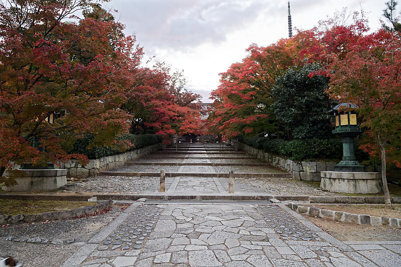 2018京都の紅葉・黒谷 真如堂_f0032011_20344251.jpg