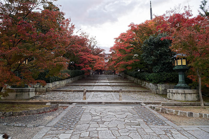 2018京都の紅葉・黒谷　真如堂_f0032011_20344251.jpg