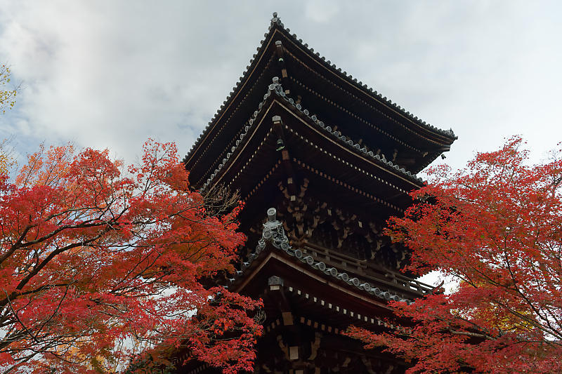 2018京都の紅葉・黒谷 真如堂_f0032011_20344259.jpg