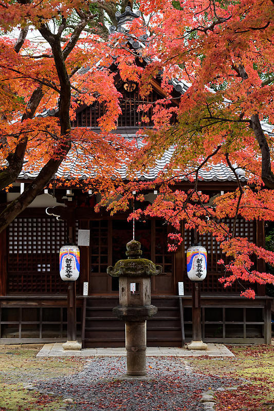 2018京都の紅葉・黒谷　真如堂_f0032011_20375645.jpg