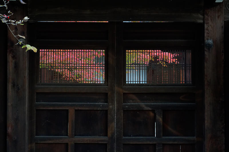 2018京都の紅葉・黒谷 真如堂_f0032011_20375723.jpg