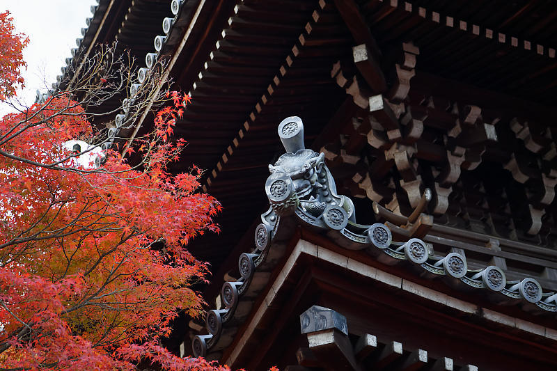 2018京都の紅葉・黒谷　真如堂_f0032011_20395365.jpg