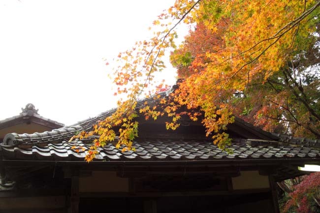 とっておきの紅葉 セミナーハウス_e0048413_18544746.jpg