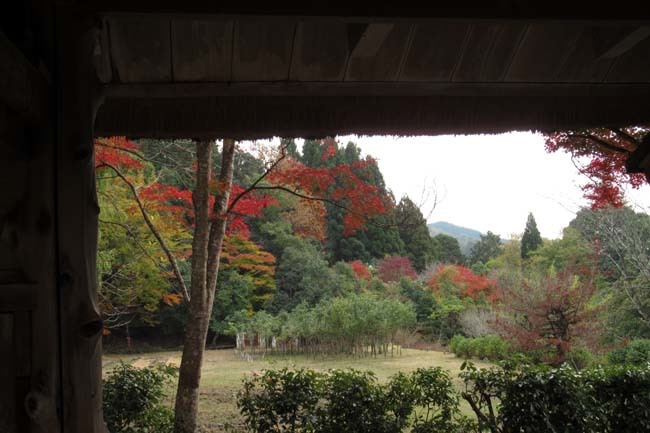 とっておきの紅葉 セミナーハウス_e0048413_18550015.jpg