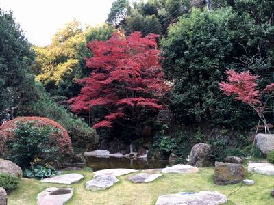 紅葉を見ながらコーヒータイム_e0234016_16260123.jpg