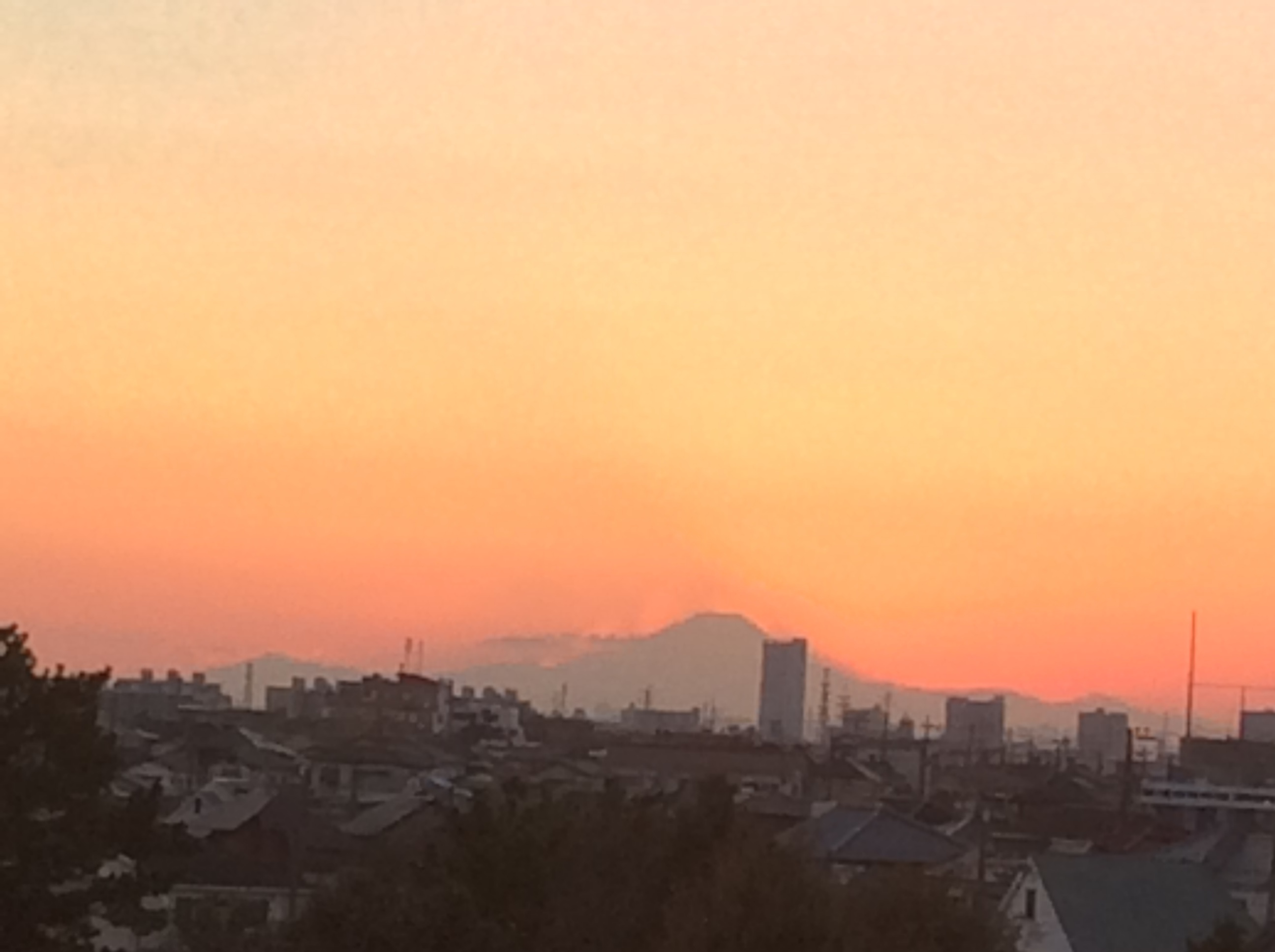 b0057924_22051280.jpg