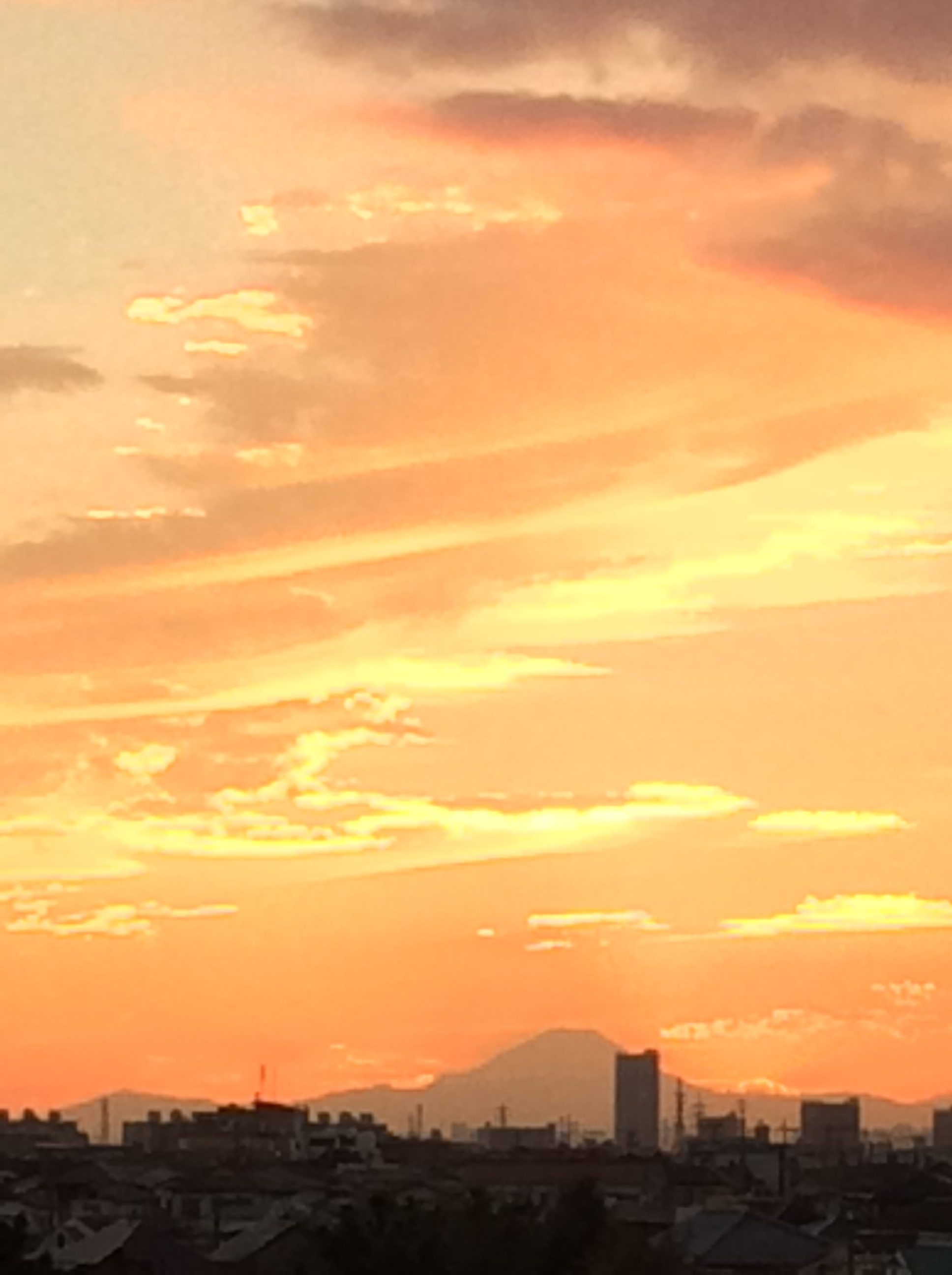 b0057924_22051829.jpg