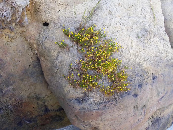 e0310424_07082015.jpeg