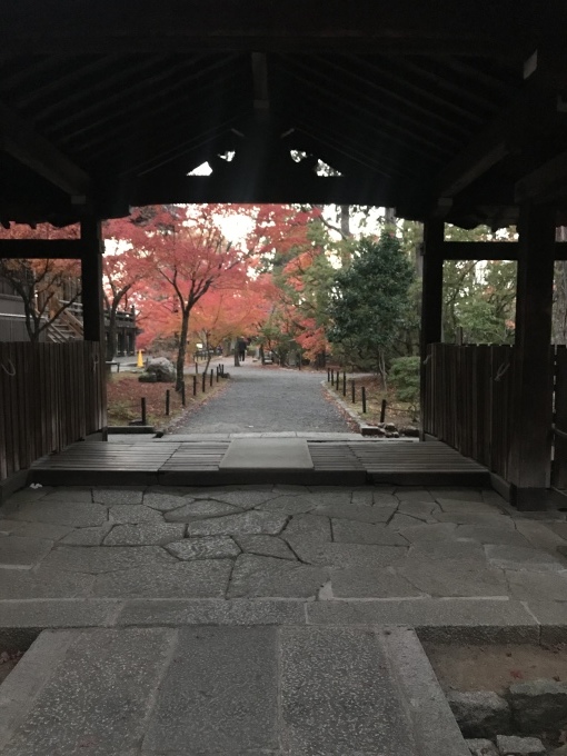 f0223329_00044360.jpeg
