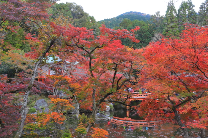 【醍醐寺・弁天堂】紅葉関西帰省 - 5 -_f0348831_16121753.jpg