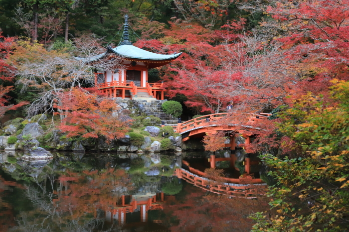 【醍醐寺・弁天堂】紅葉関西帰省 - 5 -_f0348831_16123905.jpg