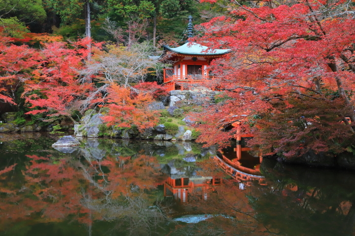 【醍醐寺・弁天堂】紅葉関西帰省 - 5 -_f0348831_16124022.jpg