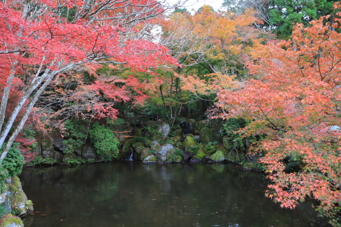 【醍醐寺・弁天堂】紅葉関西帰省 - 5 -_f0348831_16124081.jpg