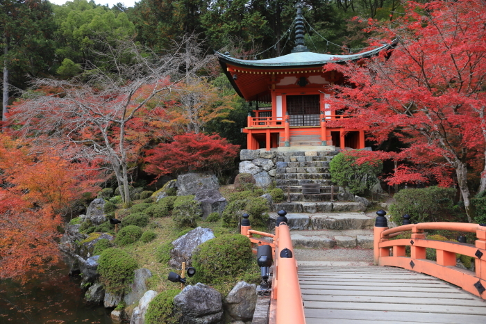 【醍醐寺・弁天堂】紅葉関西帰省 - 5 -_f0348831_16124666.jpg