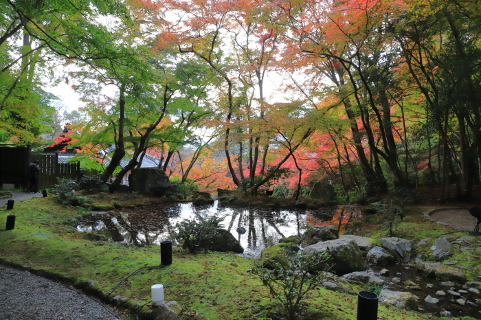 【醍醐寺・弁天堂】紅葉関西帰省 - 5 -_f0348831_16130293.jpg