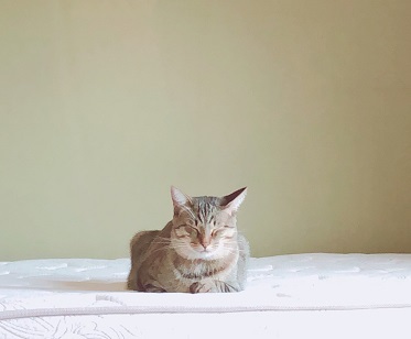 c0367433_09313495.jpeg