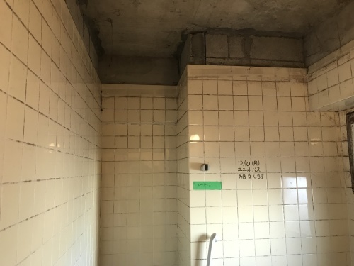 8日目 大胆と繊細と_f0031037_20240117.jpg