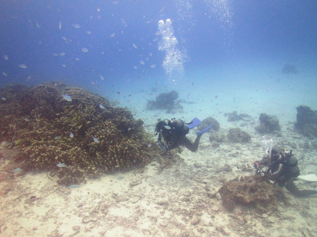 竹富ブルーを満喫☆_a0189838_14164022.jpg